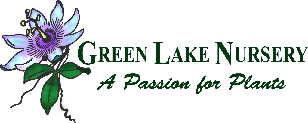 Green Lake Small color logo