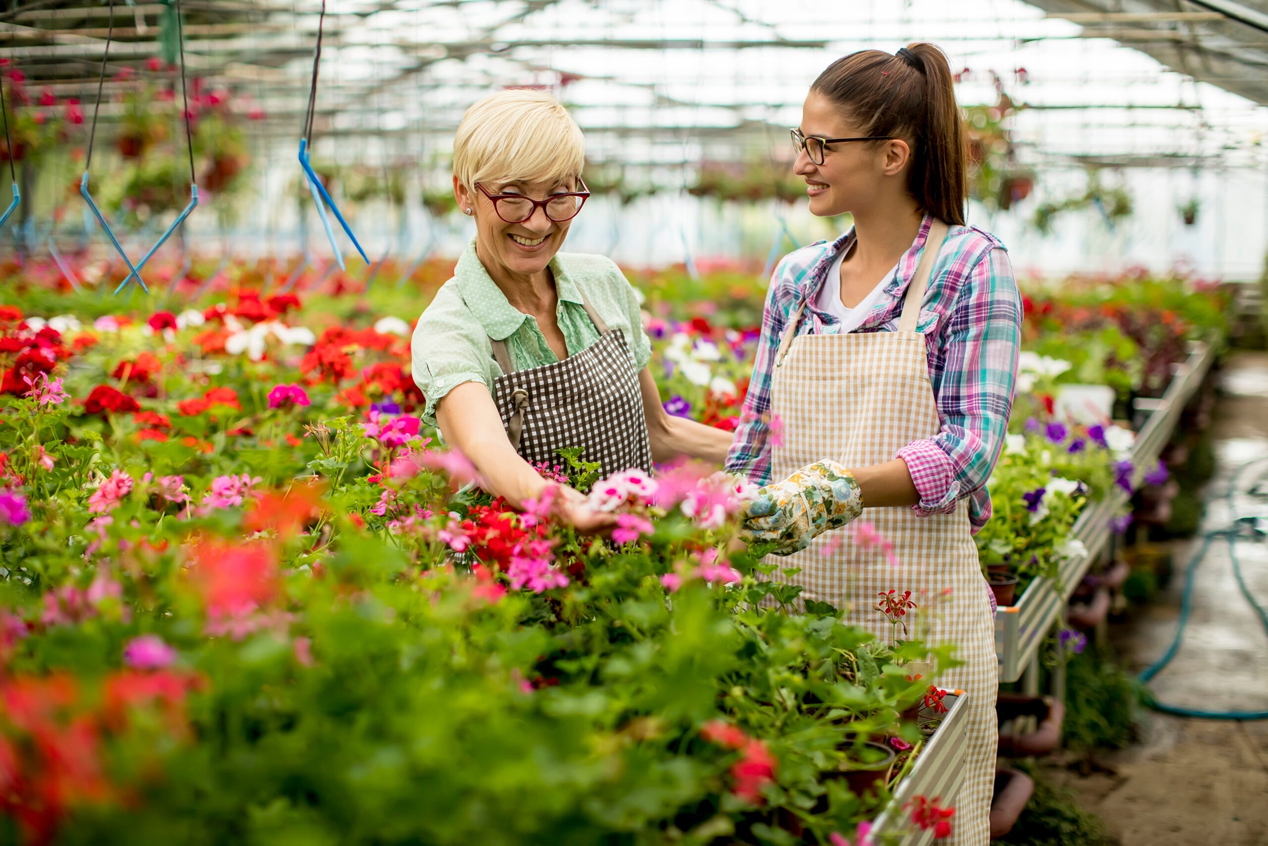Portrait of senior and young women working together in flower garden
